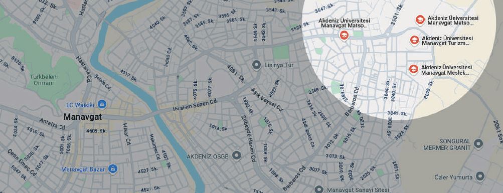 Manavgat Üniversitesi Gelecek Vizyonu ve Hedefleri